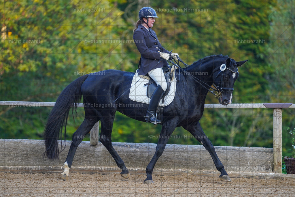 20221007-FAH00580 | Diessen am Ammersee, 2022, Dressur- und Springturnier, Reitsportbilder, Turnierfotografen Bayern, Pferdefotografen, Fotoagentur Herrmann, Turnierbilder