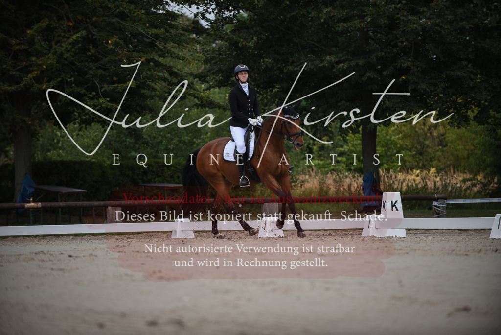 DSC_7964 | Pferde- und Turnierfotografie in Westsachsen. Pferdeportraits, Auftragszeichnungen und intuitive Kunst.