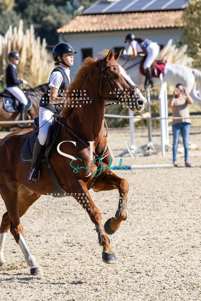 IMG_0722 | s-jay-photography - Realisiert mit Pictrs.com