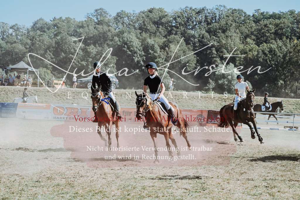 DSC_0164 | Pferde- und Turnierfotografie in Westsachsen. Pferdeportraits, Auftragszeichnungen und intuitive Kunst.