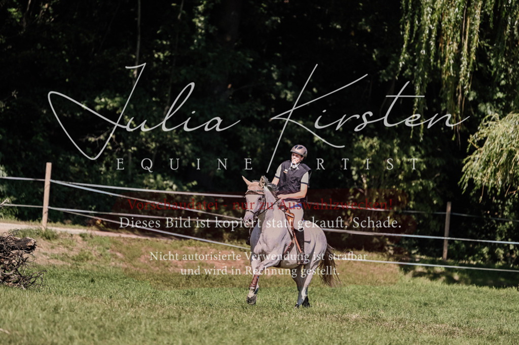 DSC_2870 | Pferde- und Turnierfotografie in Westsachsen. Pferdeportraits, Auftragszeichnungen und intuitive Kunst.