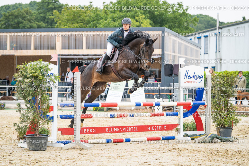 DSC00260 | Pferdegrafie