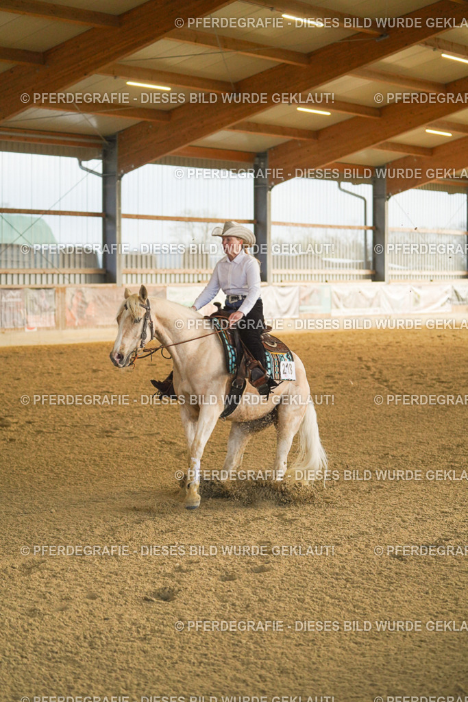 DSC09429 | Pferdegrafie