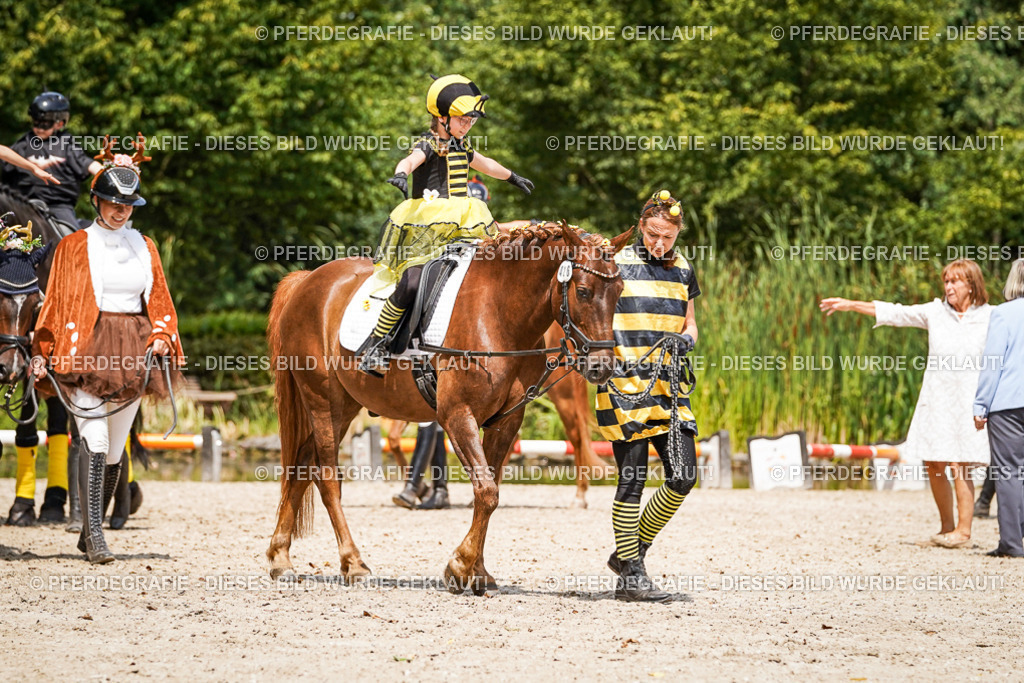 DSC03046 | Pferdegrafie