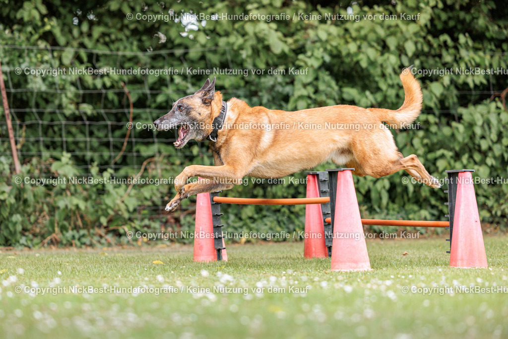 THS-Quakenbrück-2026-Nickbest-Hundefotografie-3098 | Dein Hund! Dein Moment! Deine Erinnerungen! Hundefotografie in Bremen Blumenthal. Ich fange die besonderen Momente deines Vierbeiners ein – ob Indoor mit Blitzanlage oder in der freien Natur. Sicher dir dein Moment und dein Termin für eure Erinnerungen.