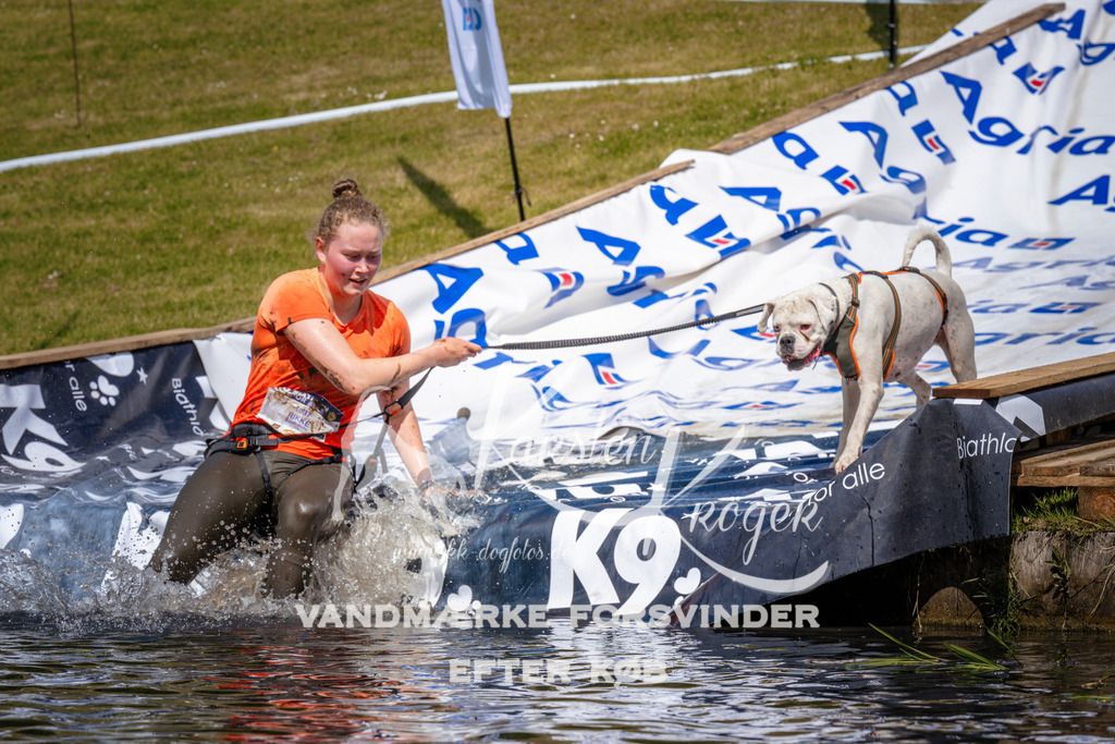 _ZZ954981008 | kk-dogfotos