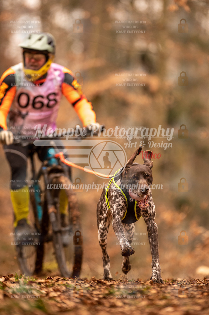 AKM_ST_2023_SAM_Bike-51 | PayLife