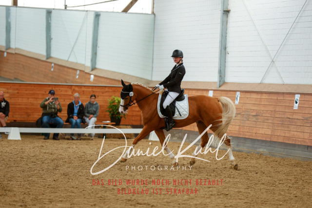 _62_6008 | Turniersportfotografie; Pferdefotografie; Dressurfotografie