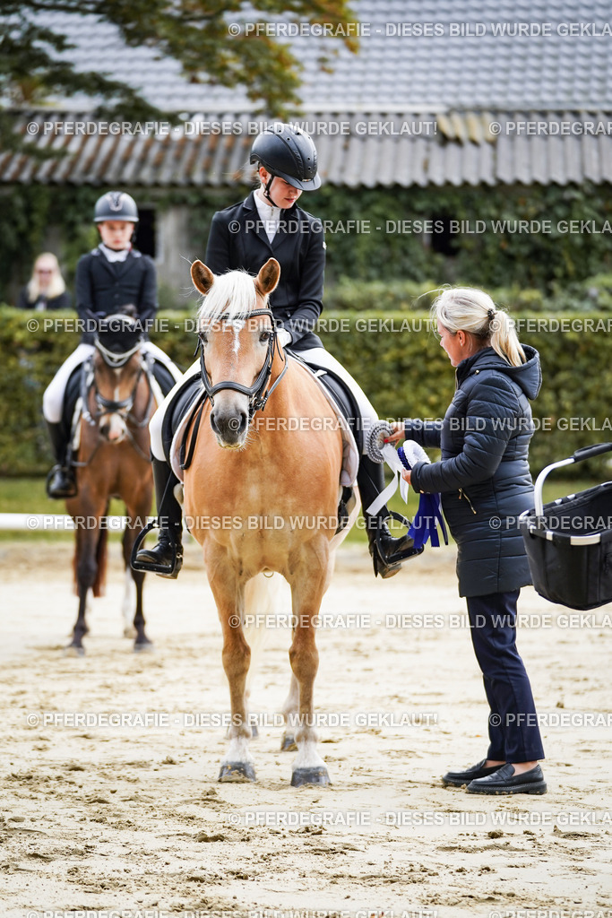 DSC04964 | Pferdegrafie