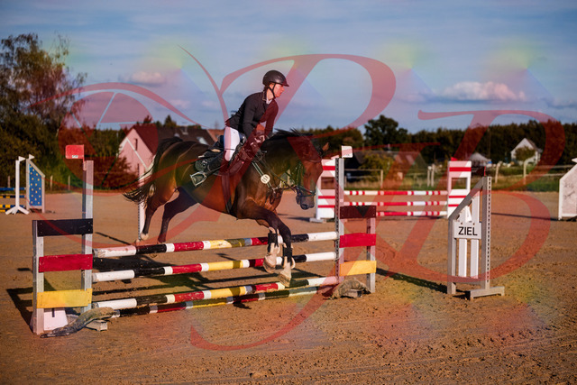 2026_10_03_Siefer-Hof_171006_Z81_06807819 | Professionelle Reitsport-, Turnier- und Eventfotografie von Robert Broda. Galerien mit ausgewählten und bearbeiteten Bildern direkt online ansehen und bestellen.