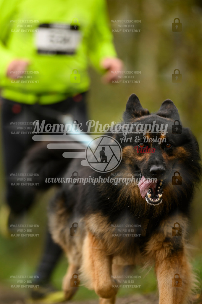 MompixPhotography_20TSB_E6_Run-164 | PayLife