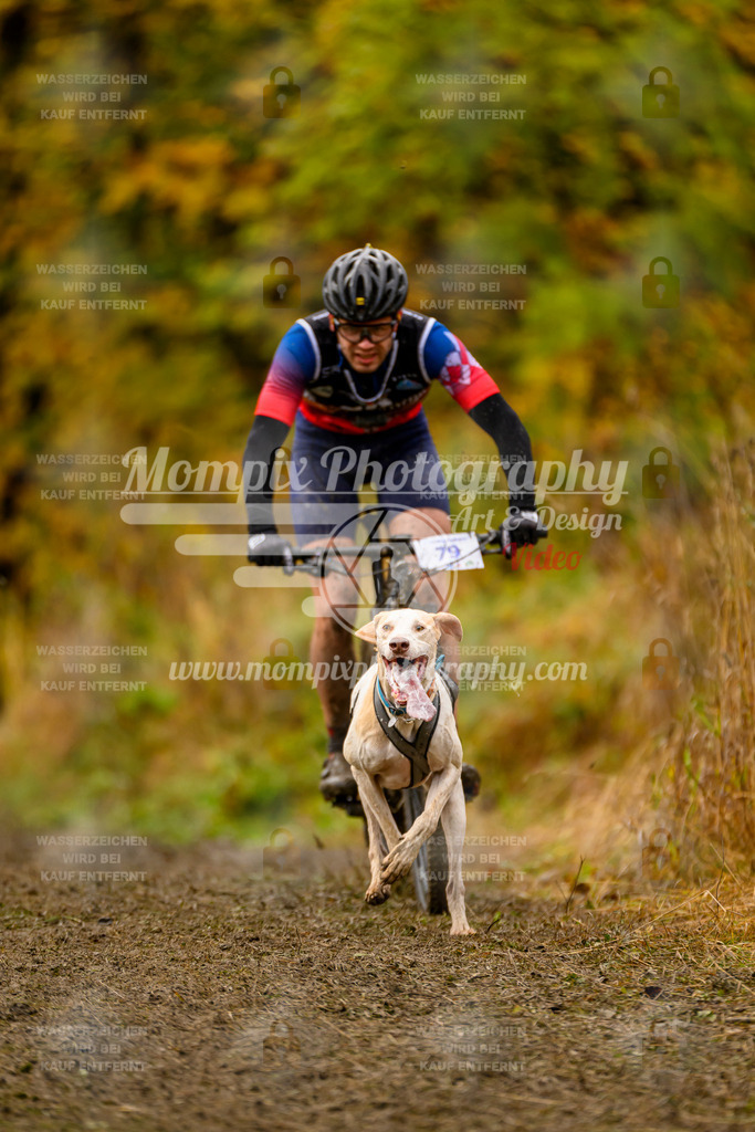 MompixPhotography_ICF_WC_2024_SA_Bike_-10 | PayLife