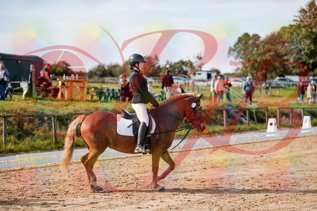 2026_10_03_Siefer-Hof_122017_Z63_42666522 | Professionelle Reitsport-, Turnier- und Eventfotografie von Robert Broda. Galerien mit ausgewählten und bearbeiteten Bildern direkt online ansehen und bestellen.