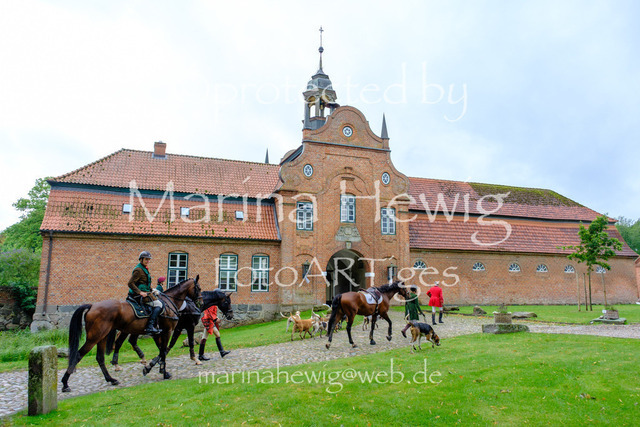 Jagd Kletkamp 26-9644_MarinaHewig | Fotografie, FotoArt, PferdesportArt, Pferdesportfotografie, Landschaftsfotografie, Reisefotografie, Reise, Pferde - Realisiert mit Pictrs.com