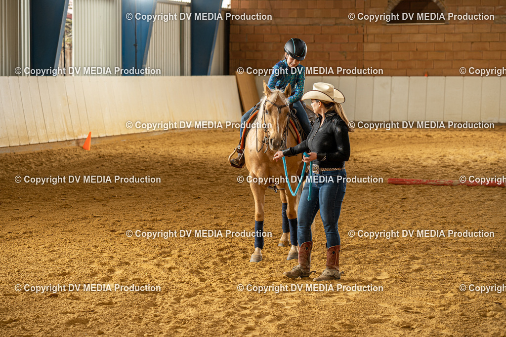 MIT01241 | dv-media-shop - Realisiert mit Pictrs.com