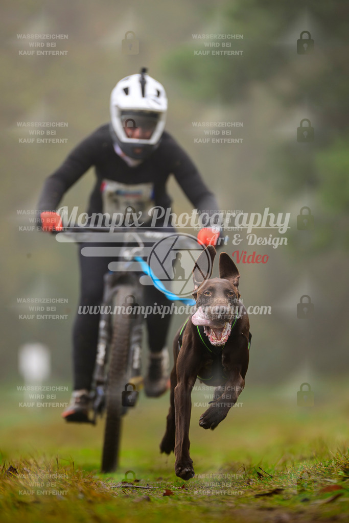 MompixPhotography_Bischwiller2025_Bike-45 | mompixphotography