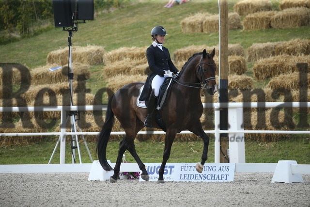 Birkhof_2022_GrandPrixSpecial_Nicole Isser_DiCaprio 4 (3) | Alle Fotos der Reiterjournal Fotografin Doris Matthaes im Reiterjournal Online-Fotoshop. - Realisiert mit Pictrs.com