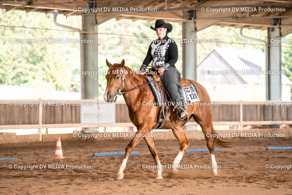 Erbach Tag 1-622 | dv-media-shop - Realisiert mit Pictrs.com