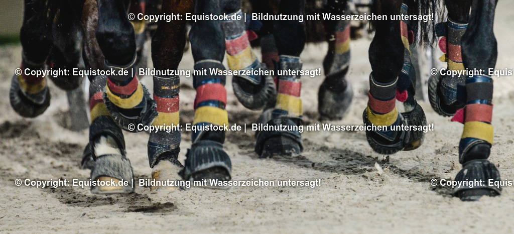 20151120_TOMsPiC_0333 | equistock