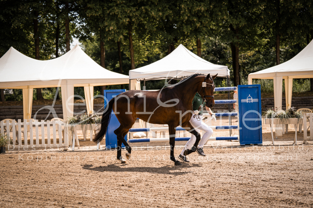 1.Fr00128 | Leoni Ertmer Photography - Realisiert mit Pictrs.com