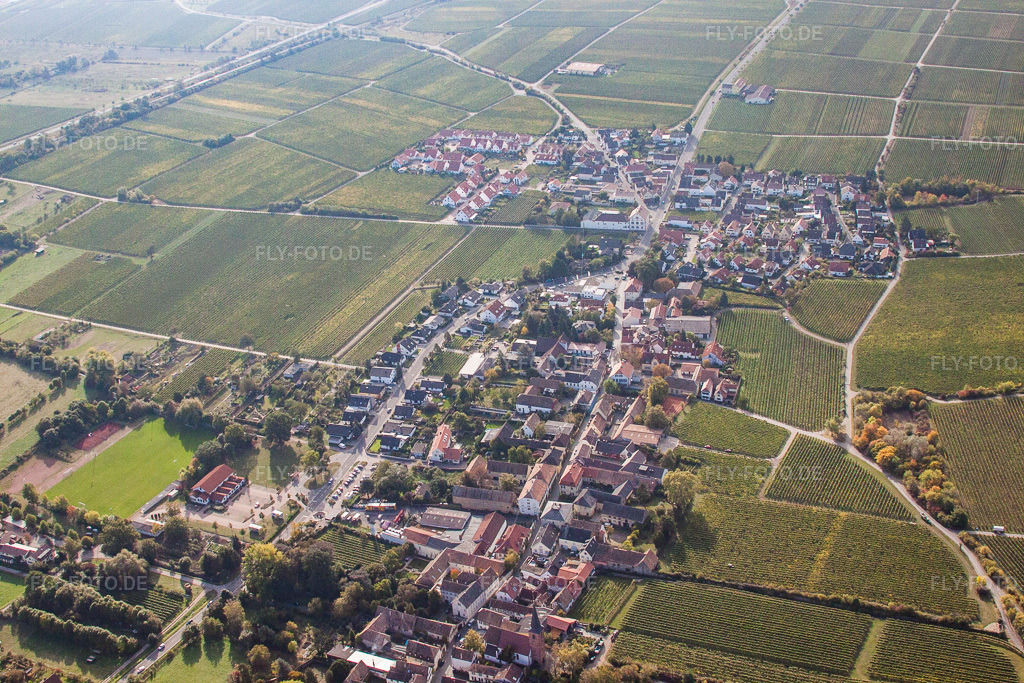 Luftbild: weinwirtschaftlichen Feldern und Nutzflächen in Forst an der Weinstraße im Bundesland Rheinland-Pfalz in Deutschland. Foto: IMG_21986.jpg vom 15.10.2009 durch Werner Riehm/FLY-FOTO.de