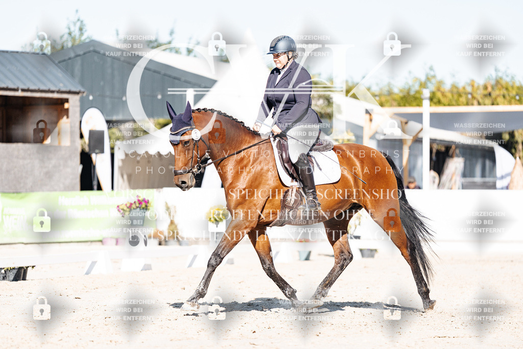 CK907968 | Turnierfotografie Pferdefotografie Trier Rheinland-Pfalz Pferdesport Reitsport Tierfotografie Sportfotografie Pferdevideo Pferdevideografie Equestrianvideography equestrianphotography  - Realisiert mit Pictrs.com