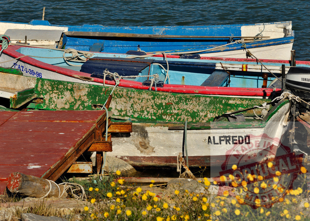Weathered fishing boats moored in a colorful harbor | Colorful old fishing boats with peeling paint docked by water and yellow wildflowers - Realisiert mit Pictrs.com