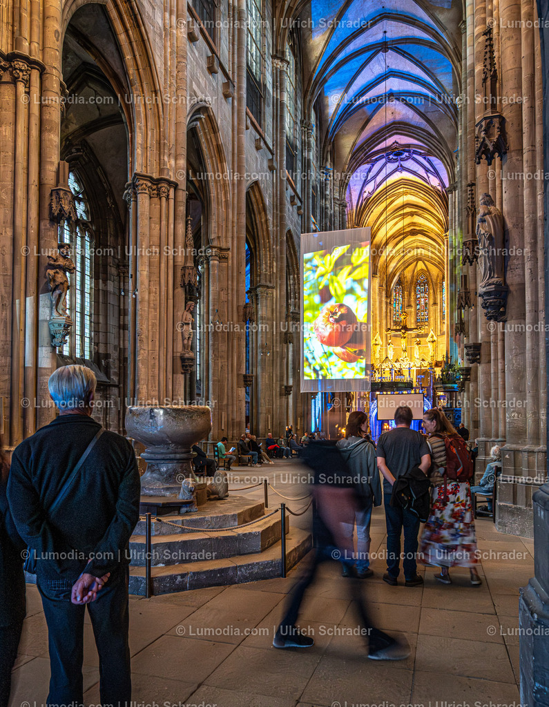 _ulrichschrader.com-244 - Nacht der Kirchen in Halberstadt | Stockfoto und Bilderpool mit Bildmaterial aus Deutschland, dem Harz, Halberstadt, Quedlinburg, Wernigerode und weltweit. Qualitativ hochwertige und professionelle Fotos anschauen und kaufen. - Realisiert mit Pictrs.com