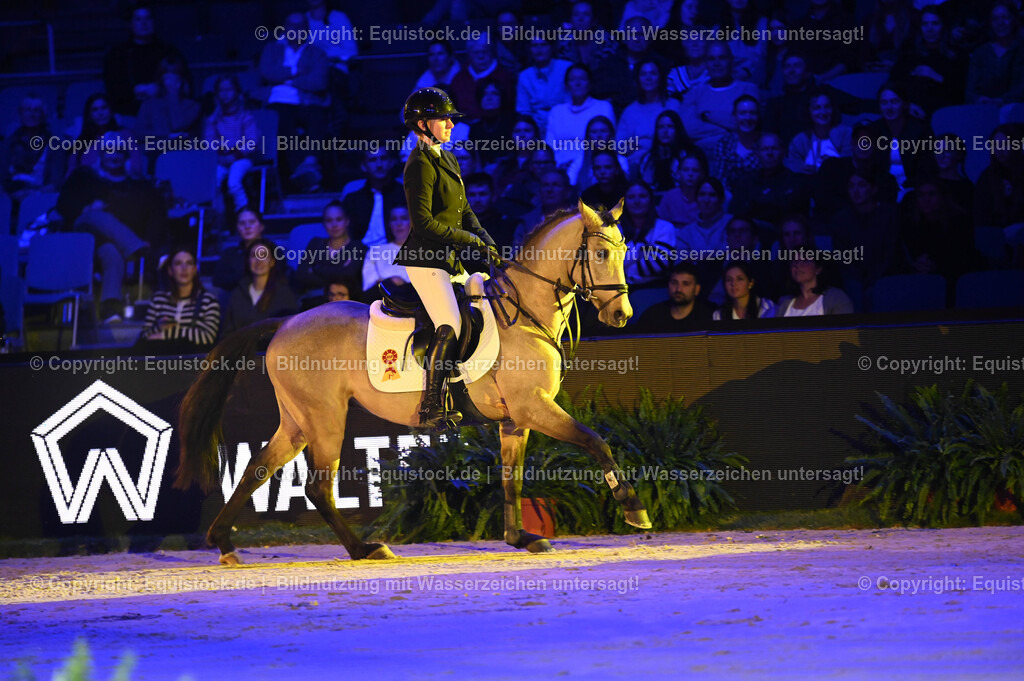20241114_Ehrung Championatspferde_TOMsPiC_0019 | Foto: Thomas Hartig