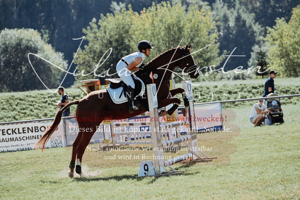 DSC_5671 | Pferde- und Turnierfotografie in Westsachsen. Pferdeportraits, Auftragszeichnungen und intuitive Kunst.