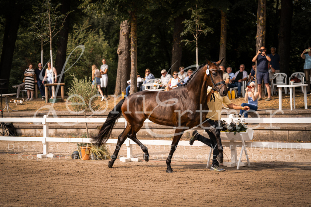 FrER00033 | Leoni Ertmer Photography - Realisiert mit Pictrs.com