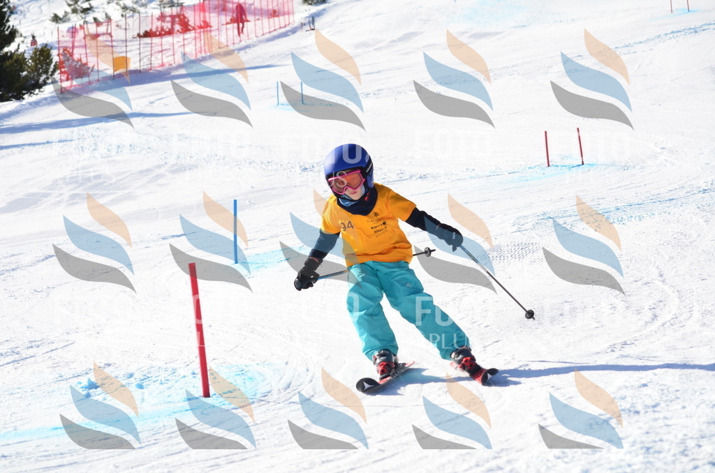 C6093 | holidayphoto