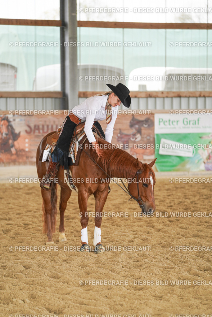 DSC06445 | Pferdegrafie