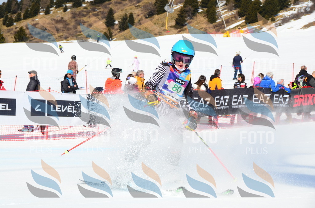 DSC_0499 | holidayphoto