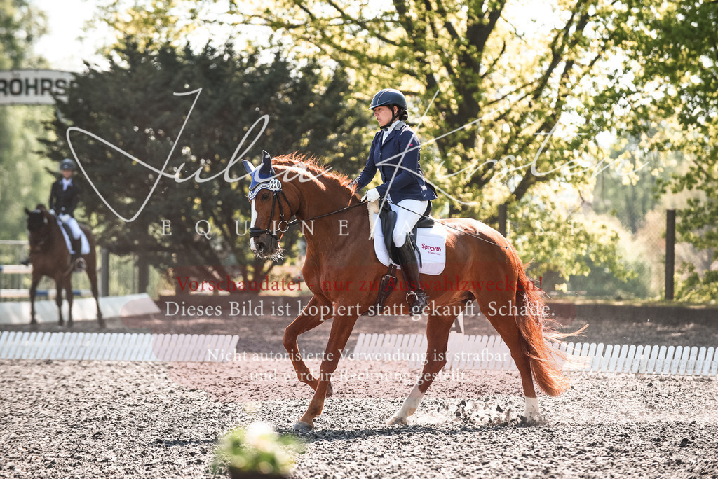 DSC_8870 | Pferde- und Turnierfotografie in Westsachsen. Pferdeportraits, Auftragszeichnungen und intuitive Kunst.
