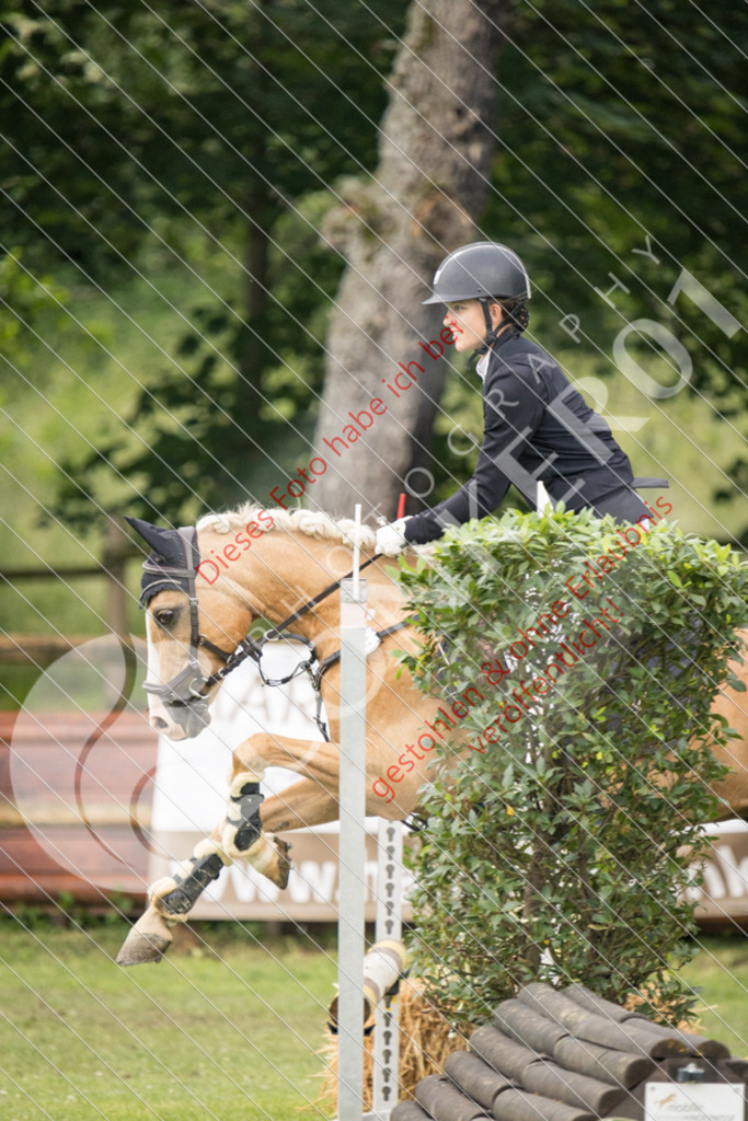 IMG_2373 | Sport-, Event- und Tierfotos in Profiqualität. Einfach auswählen, bestellen und herunterladen. Dein Moment – perfekt festgehalten.