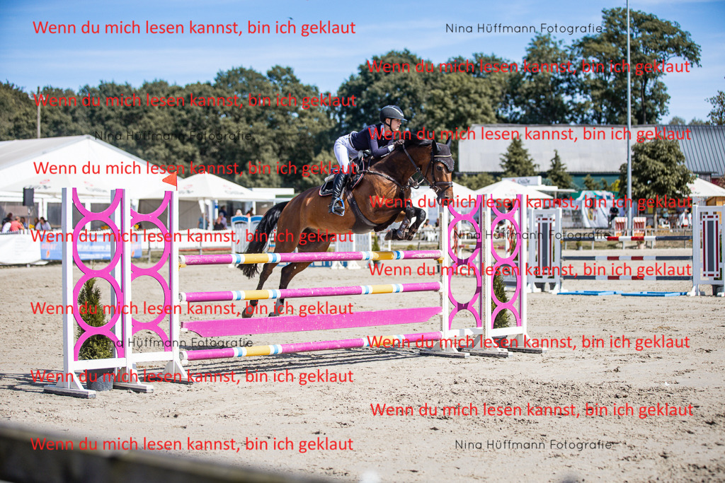 BK1A6935 | Turnierbilder Turnierfotos Nina Hüffmann Turnierfotografie Pferdefotografie Tierzeichnung Haustierzeichnung Pferdezeichnung Hundezeichnung Videograf  - Realisiert mit Pictrs.com