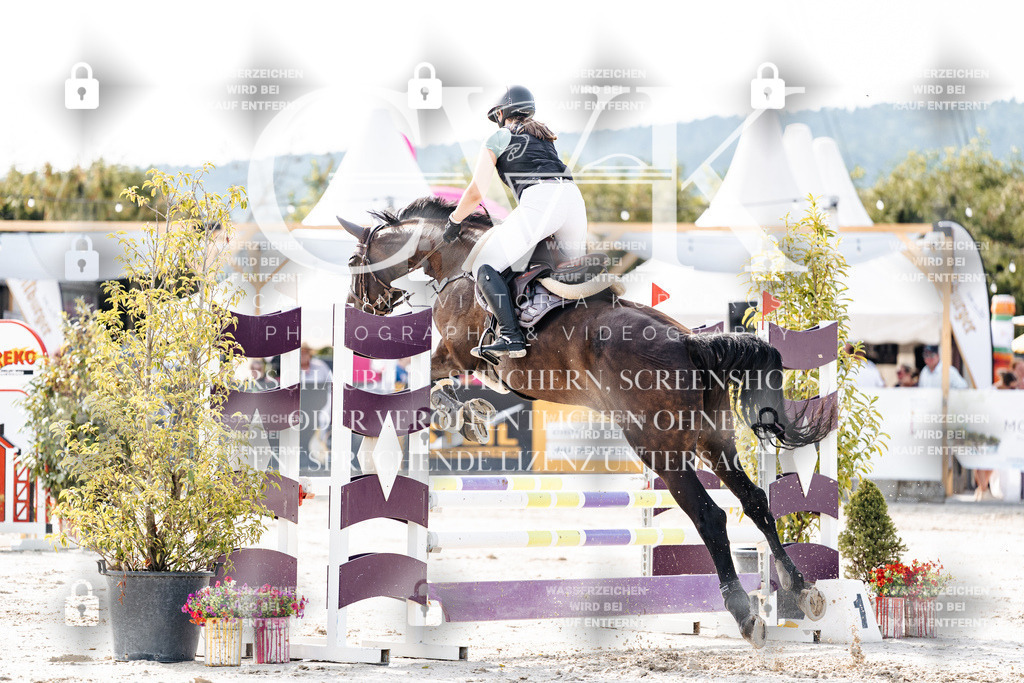 CK905674 | Turnierfotografie Pferdefotografie Trier Rheinland-Pfalz Pferdesport Reitsport Tierfotografie Sportfotografie Pferdevideo Pferdevideografie Equestrianvideography equestrianphotography  - Realisiert mit Pictrs.com