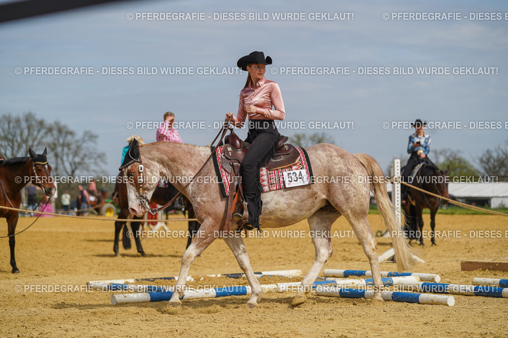 DSC04193 | Pferdegrafie