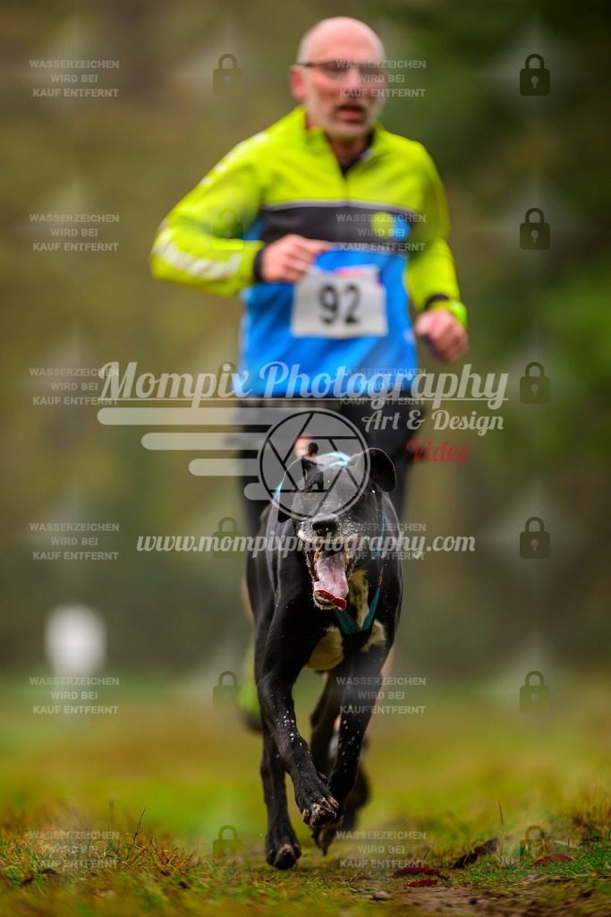 MompixPhotography_Bischwiller2025_Canicross-32 | mompixphotography