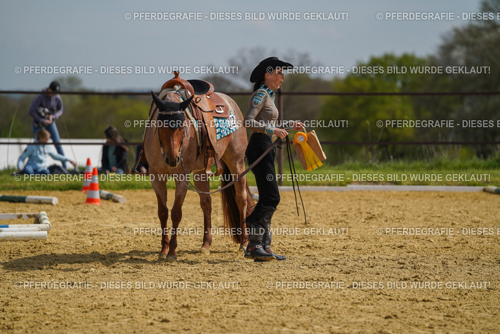 DSC04246 | Pferdegrafie