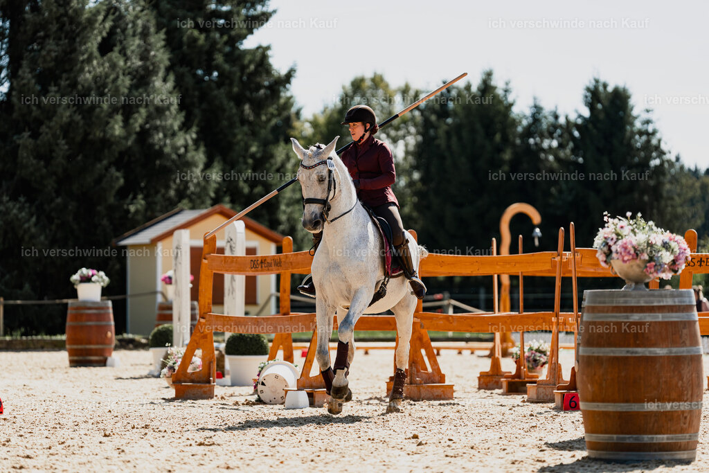 Kelly4_FHC2025-08886 | working equitationturnier fotograf videograf stoibphotography marixx film working equitation deutschland reitsport turnierfotografie eventfotografie equestrian events