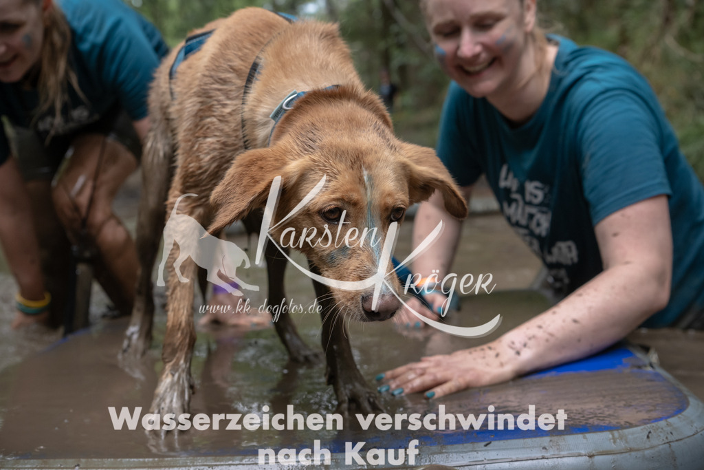1348_ZZ96072 | kk-dogfotos