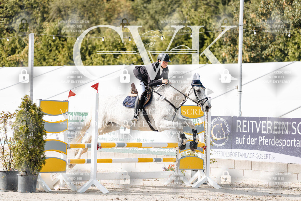 CK905488 | Turnierfotografie Pferdefotografie Trier Rheinland-Pfalz Pferdesport Reitsport Tierfotografie Sportfotografie Pferdevideo Pferdevideografie Equestrianvideography equestrianphotography  - Realisiert mit Pictrs.com