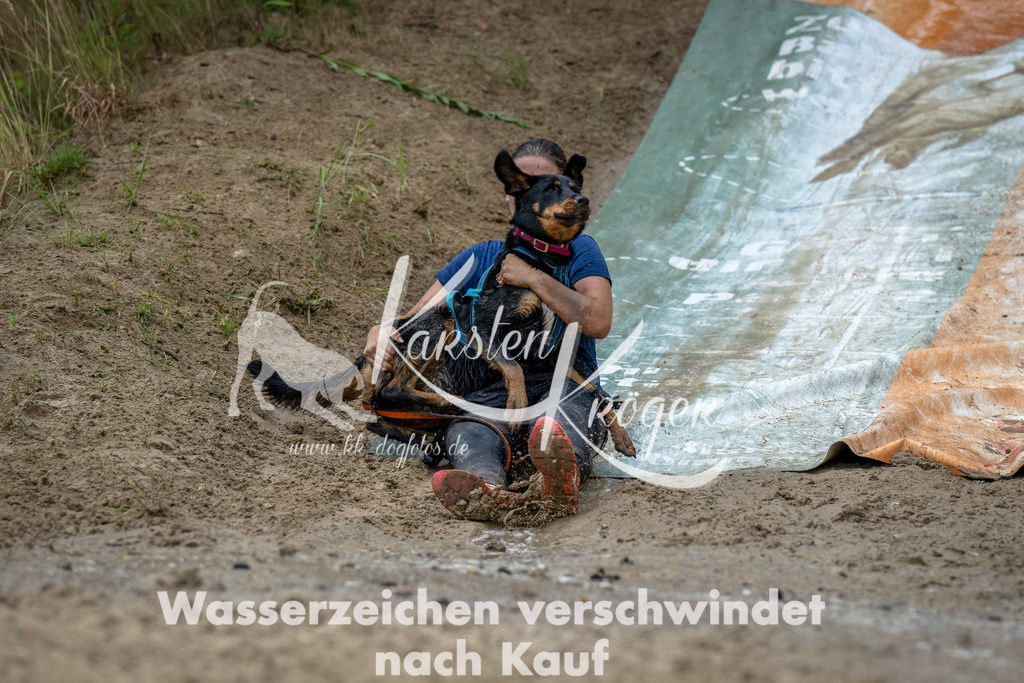 1249_ZZ90323-Bearbeitet-2 | kk-dogfotos