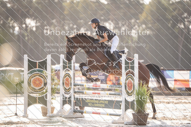 LR262_SD_08870 | saradresslerfotografie - Realisiert mit Pictrs.com