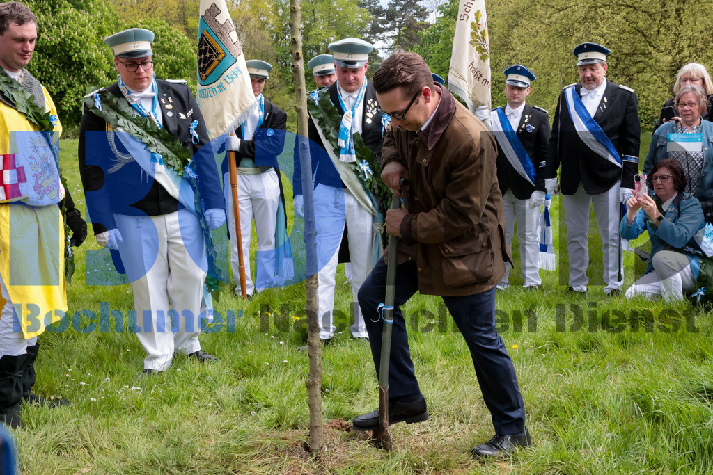 636. Maiabendfest 2024 {date} -  | {headline}



(Foto: Sebastian Sendlak / BOND)

 - Realisiert mit Pictrs.com