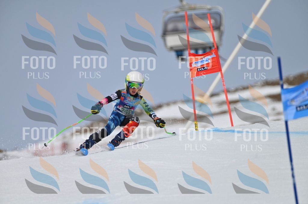 BGV_4926 | holidayphoto