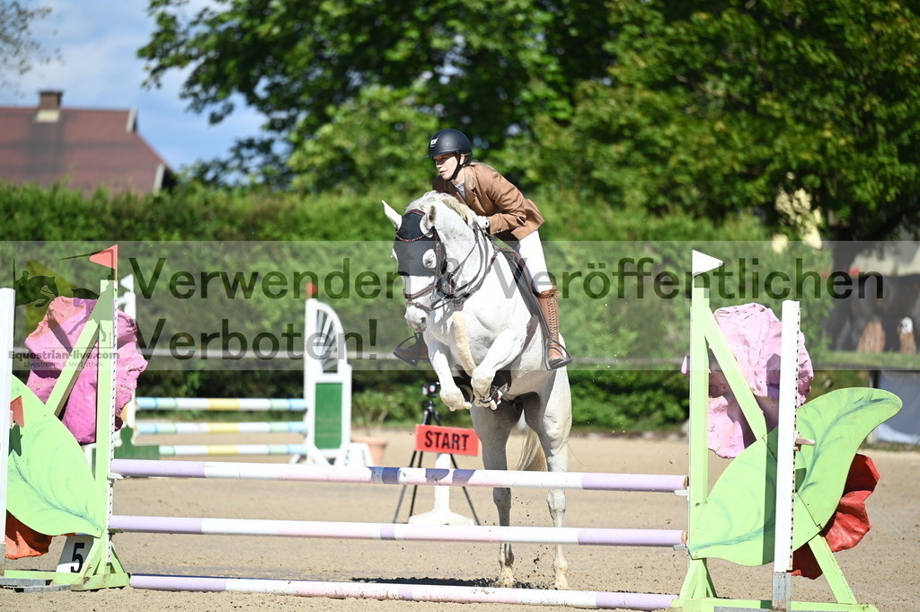 DSC_8075 | equestrian-live-com