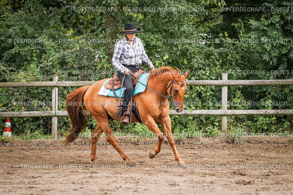 DSC08671 | Pferdegrafie